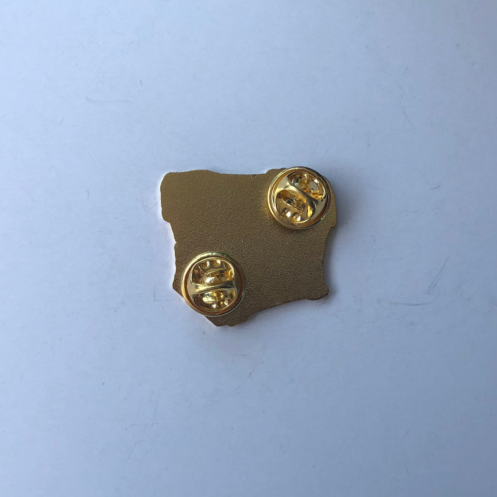 Shield and Chest Pin Set